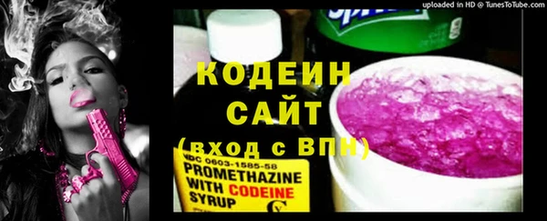 дмт Горнозаводск